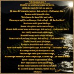 vishrut parekh soulmate dream girl 